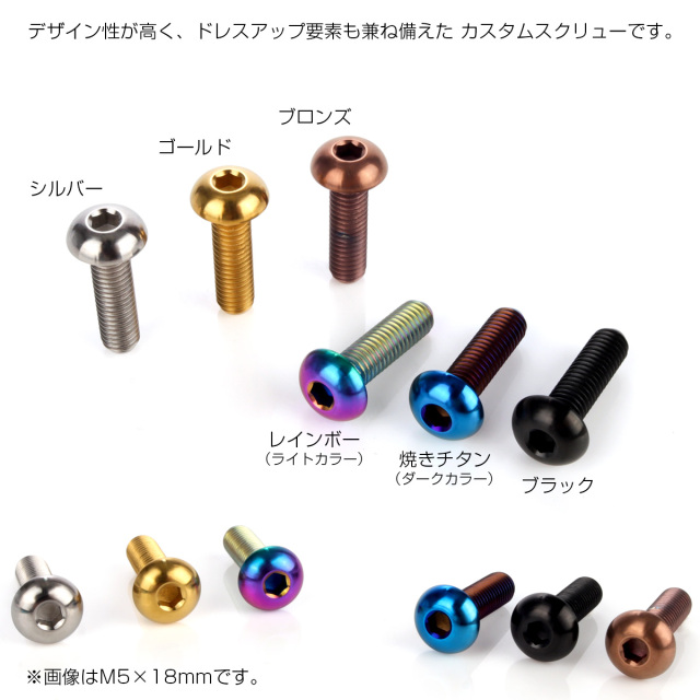 チタンボルト M5×30mm P0.8 ボタンボルト 六角穴 ブラック JA1381