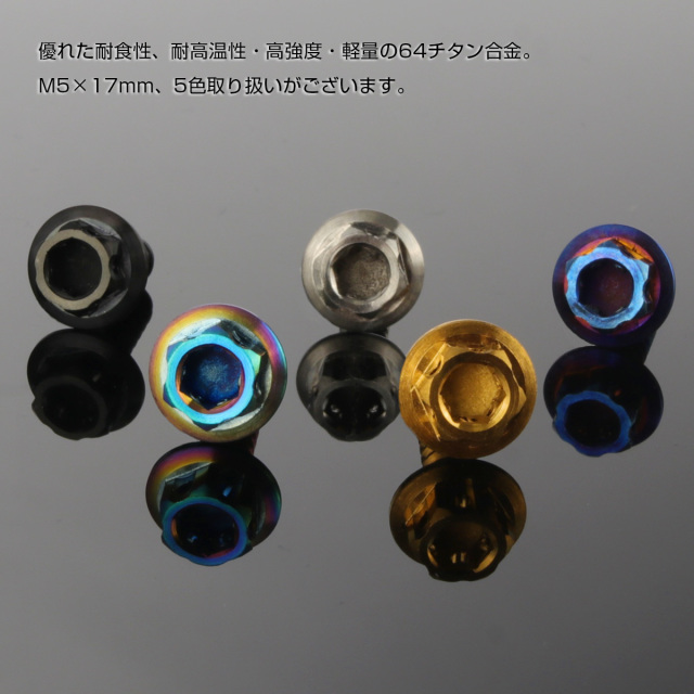 ビカクシダ　ネグセ 64チタン製 M5×17mm タッピングネジ フランジ付 六角頭 ヘキサゴン