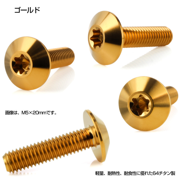 チタンボルト M5 20mm P0.8 ボタンボルト トルクス穴付き デザイン