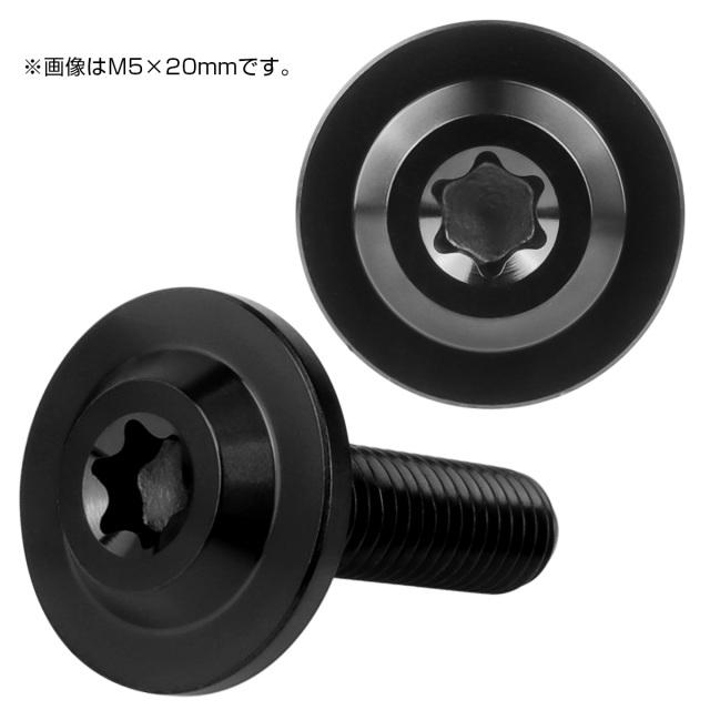 チタンボルト M5×20mm P0.8 ボタンボルト トルクスヘッド フランジ付