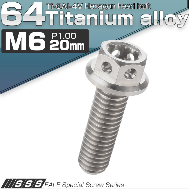 チタンボルト M6×20mm P1.0 六角ボルト フランジ付き 六角穴付きボルト シルバー JA727 【メール便可】
