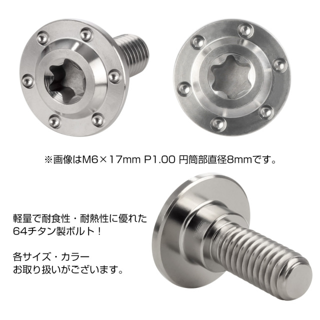 チタン 段付きボルト M6×17mm P1.0 円筒部直径8mm ホールヘッド