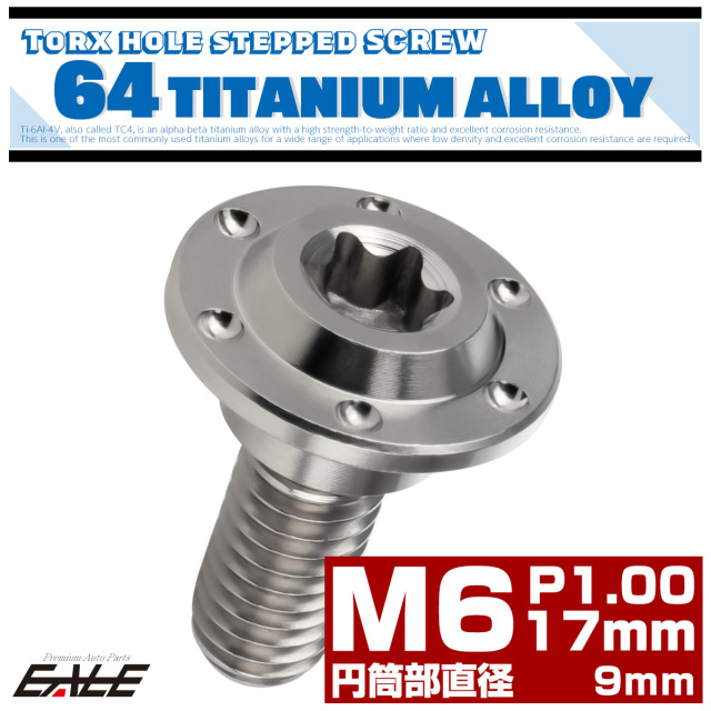 チタン 段付きボルト M6×17mm P1.0 円筒部直径9mm ホールヘッド トルクス穴 段付き フランジボルト シルバー JA882 【メール便可】