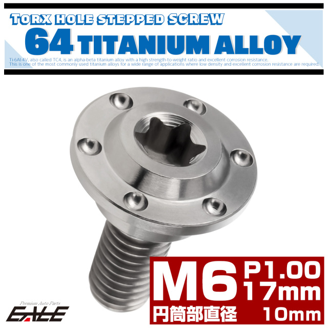 チタン 段付きボルト M6×17mm P1.0 円筒部直径10mm ホールヘッド トルクス穴 段付き フランジボルト シルバー JA885 【メール便可】