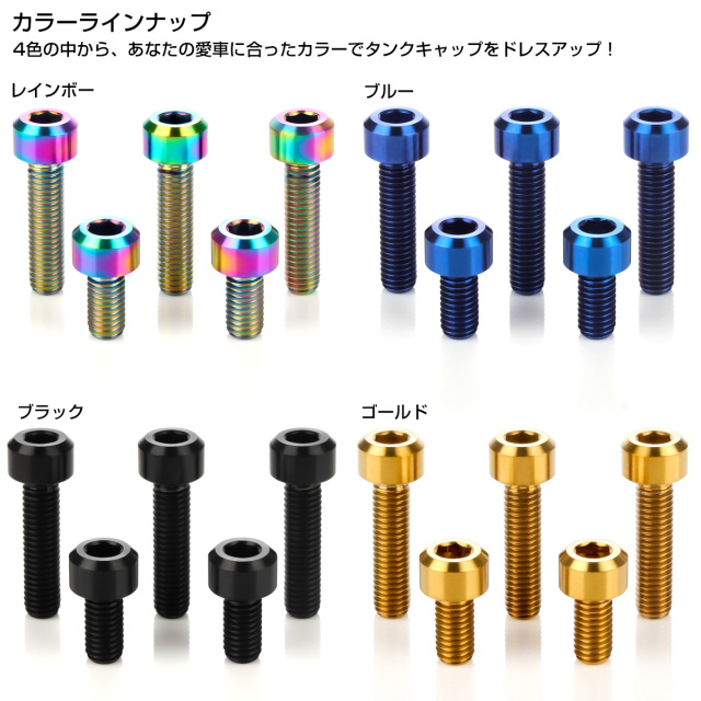 Buell用Gr5チタンボルト(10本)とDTS06-04コネクタ(メス一式)