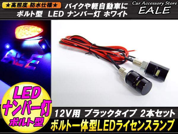 ボルト型 汎用LEDナンバー灯 バイクや自動車に 2個セット 黒（P-111） 【メール便可】