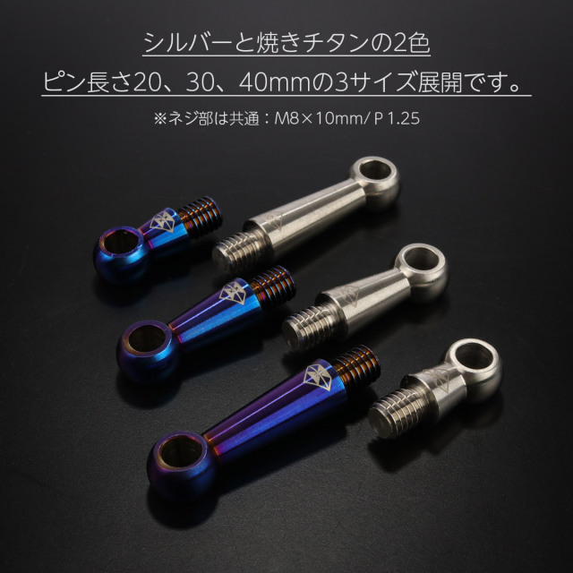 20mm バンクセンサー ネジ M8×10mm P1.25 補修 交換用 ドレスアップに