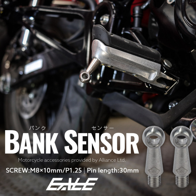 30mm バンクセンサー ネジ M8×10mm P1.25 補修 交換用 ドレス