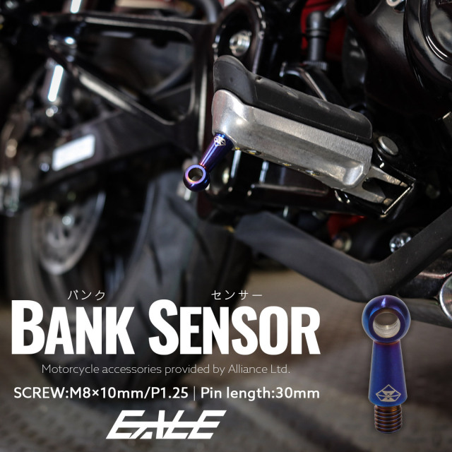 30mm バンクセンサー ネジ M8×10mm P1.25 補修 交換用 ドレスアップにも 焼きチタン色 1個売り S-1059 【メール便可】