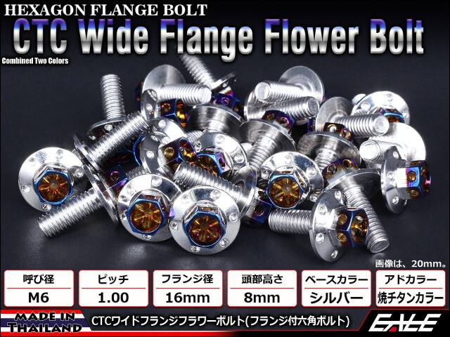M6×25mm P1.00 2色 ワイドフランジフラワー ボルト ワイヤーロック穴付き 六角ボルト ステンレス削り出し シルバー&焼きチタンカラー TB0974 【メール便可】