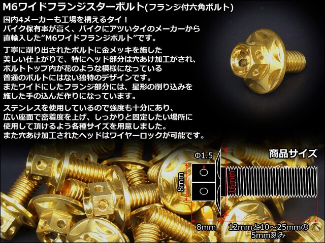 M6×15mm P1.00 ワイドフランジスター ボルト ワイヤーロック穴付き