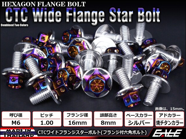 M6×25mm P1.00 2色 ワイドフランジスター ボルト ワイヤーロック穴付き 六角ボルト ステンレス削り出し シルバー&焼きチタンカラー TB0999 【メール便可】