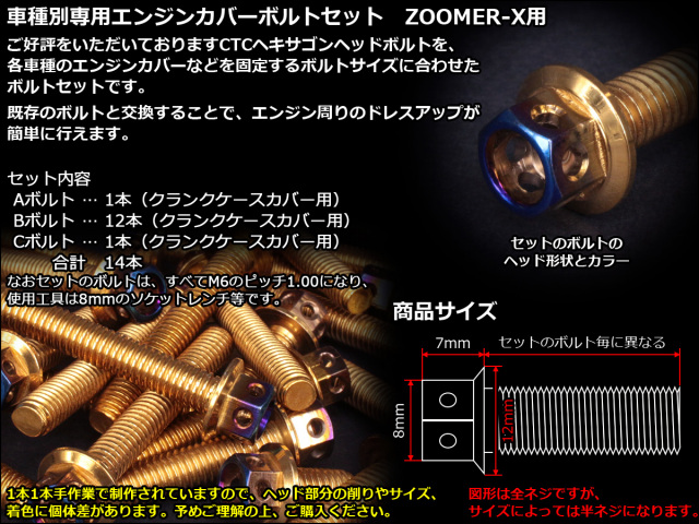 ZOOMER-X エンジンカバー ボルト14本set フランジ六角ボルト CTC