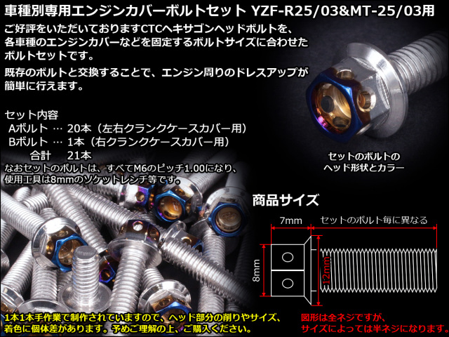 YZF-R25 YZF-R3 MT-25 MT-03 エンジンカバー ボルト21本set フランジ