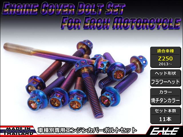 Z250(ER250) エンジンカバー ボルト11本set フランジ付六角ボルト フラワーヘッド 焼チタンカラー TB8056