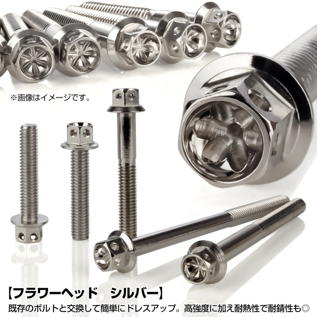 Kawasaki ZEPHYR 750 エンジンカバー新品未開封 ゼファー750 エンジン