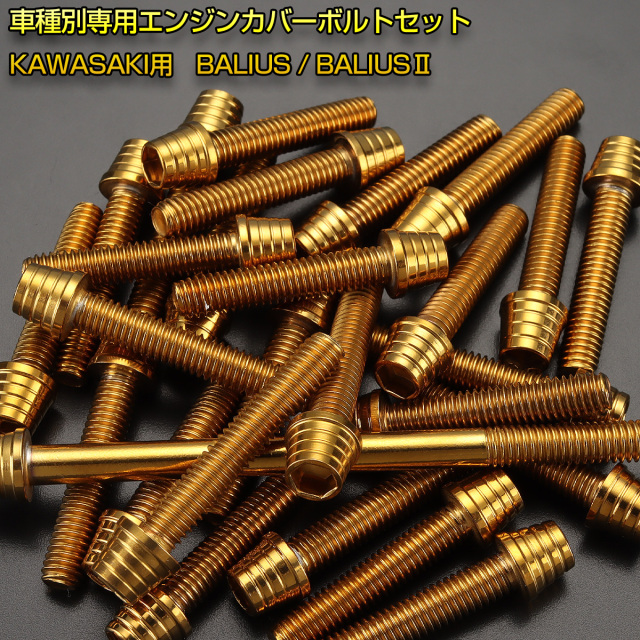 エンジンカバー ボルトセット BALIUS バリオス バリオス-2 19本セット