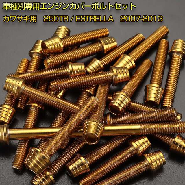 エンジンカバー ボルトセット 250TR エストレヤ 2007-2013年 27