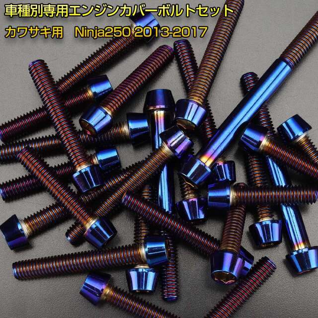 エンジンカバー ボルトセット ニンジャ250 Ninja250 2013-2017年 20本