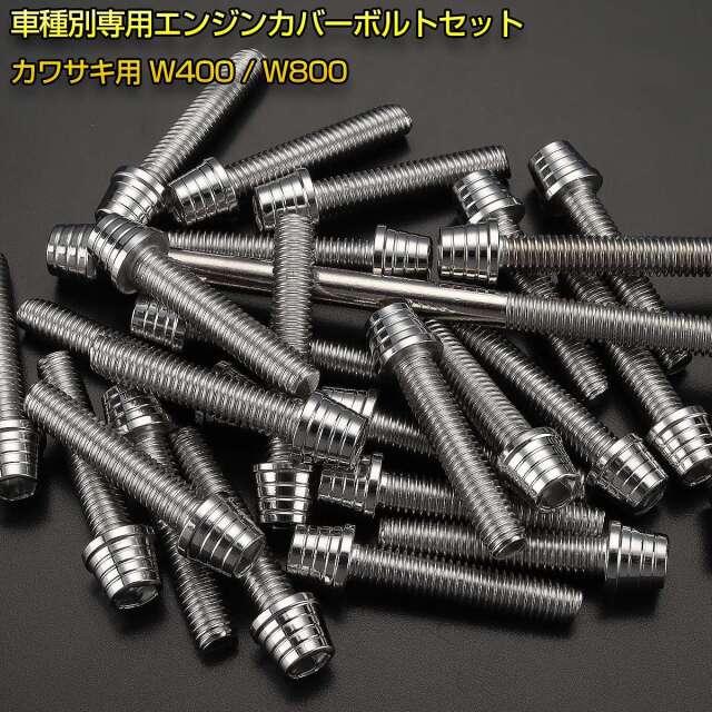 ダーロン Kawasaki 250TR エンジンカバー 左右2点セット YAMAHA TW200/225 セロー225 エンジンカバー クランクケース