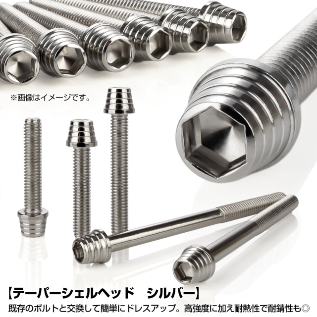 エンジンカバー ボルトセット Z250 Z400 2019年- 33本セット