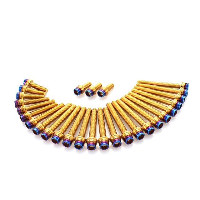 エンジンカバー ボルトセット Dトラッカー125 KLX125 28本セット