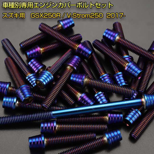 エンジンカバー ボルトセット GSX250R V-Strom250 25本セット