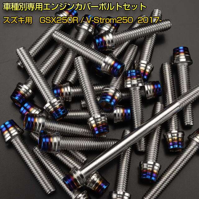 エンジンカバー ボルトセット GSX250R V-Strom250 25本セット テーパー