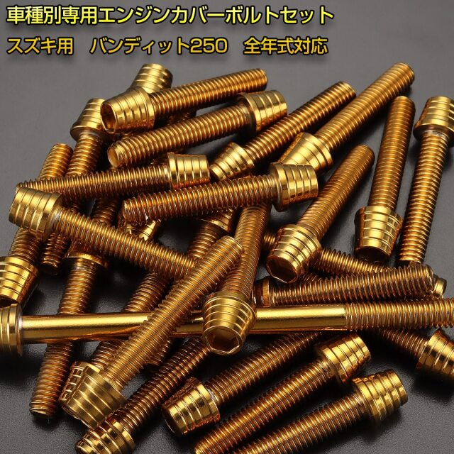 エンジンカバー ボルトセット バンディット250 BANDIT250 24本セット