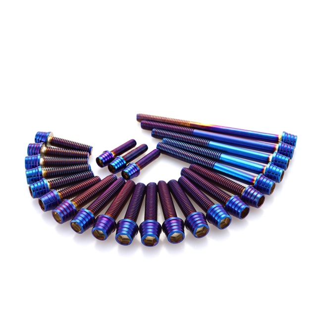 エンジンカバー ボルトセット バンディット250 BANDIT250 24本