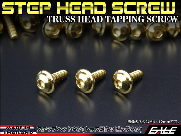 M5×16mm ステップヘッドネジ タッピングネジ ステンレス 削り出し トラス頭 カウルやパネルなどに ゴールド TC0038 【メール便可】