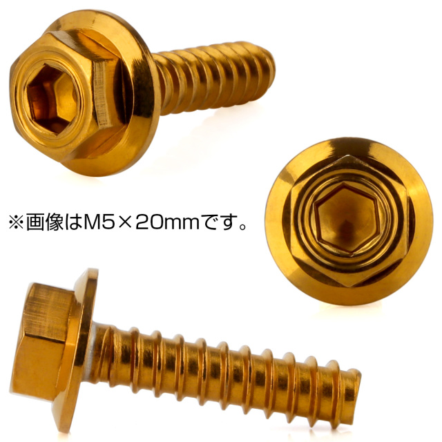 タッピングネジ M5×20mm シンヘキサゴンヘッド ネジ 六角頭 ステンレス