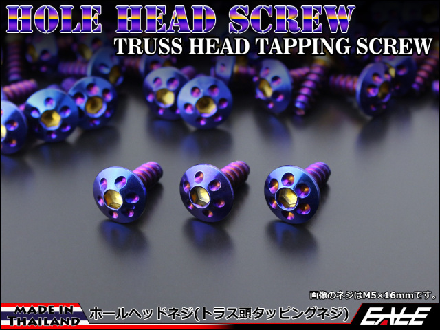 タッピングネジ M5×25mm ホールヘッド ネジ ステンレス カウルやパネルなどに 焼チタン TC0075 【メール便可】