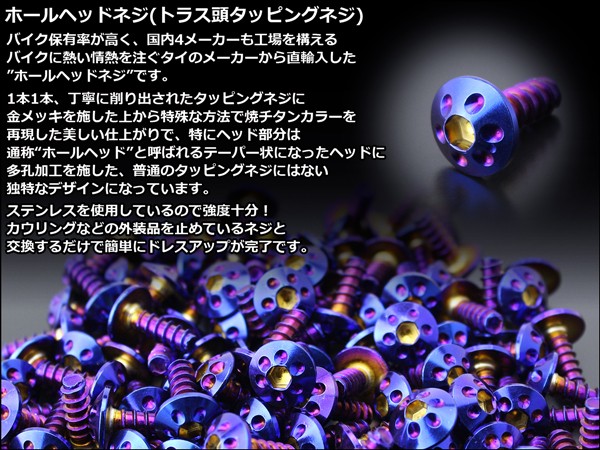 M5×25mm ホールヘッドネジ タッピングネジ ステンレス 削り出し