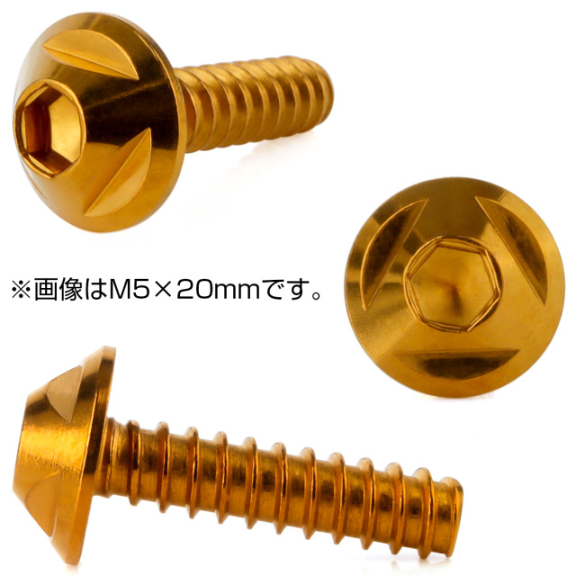 タッピングネジ M5×16mm トライアングルヘッド ネジ ステンレス カウル