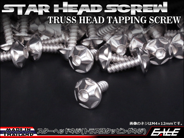 タッピングネジ M5×25mm スターヘッド ネジ ステンレス カウルやパネルなどに シルバー TC0125 【メール便可】