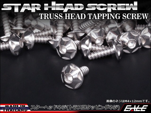 M5×25mm スターヘッドネジ タッピングネジ ステンレス 削り出し トラス頭 シルバー TC0125 【メール便可】