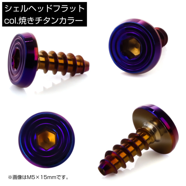 タッピングネジ M5×20mm SUS304 ステンレス シェルヘッドフラット 六角
