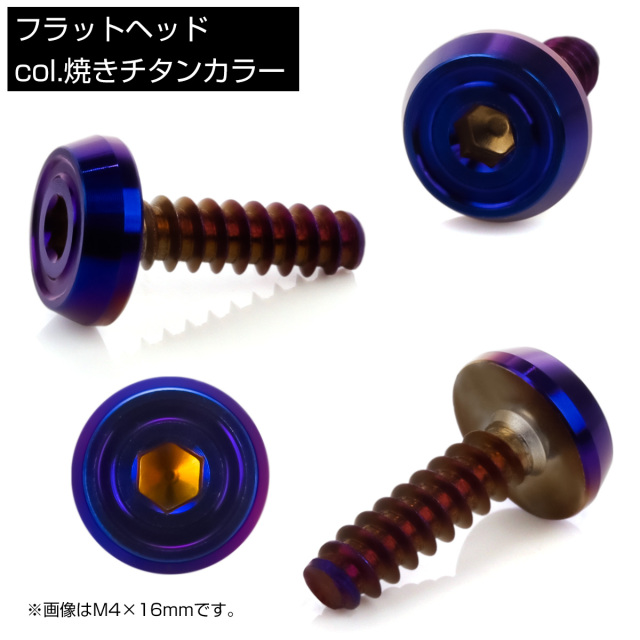 タッピングネジ M4×16mm フラットヘッド 六角穴 フランジ付き ネジ