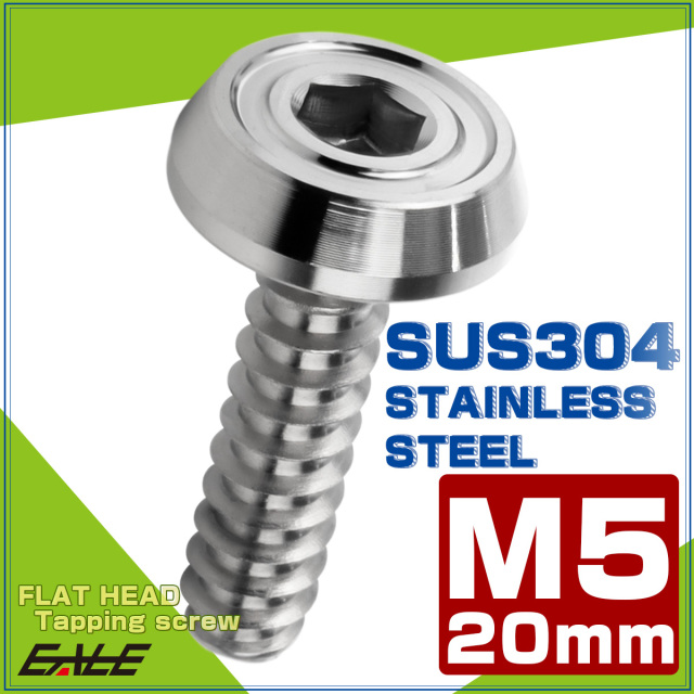 タッピングネジ M5×20mm SUS304 ステンレス フラットヘッド 六角穴 フランジ付き ネジ シルバー TC0169 【メール便可】