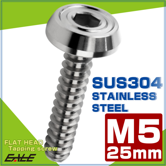 タッピングネジ M5×25mm SUS304 ステンレス フラットヘッド 六角穴 フランジ付き ネジ シルバー TC0170 【メール便可】