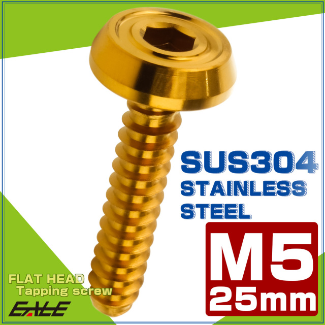 タッピングネジ M5×25mm SUS304 ステンレス フラットヘッド 六角穴 フランジ付き ネジ ゴールド TC0175 【メール便可】