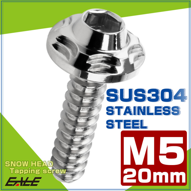 タッピングネジ M5×20mm SUS304 ステンレス スノーヘッド 六角穴 フランジ付き ネジ シルバー TC0184 【メール便可】