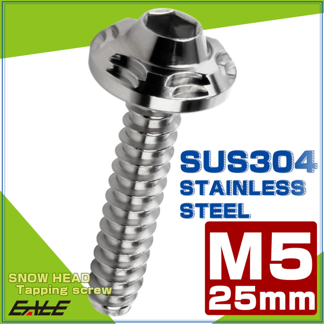 タッピングネジ M5×25mm SUS304 ステンレス スノーヘッド 六角穴 フランジ付き ネジ シルバー TC0185 【メール便可】