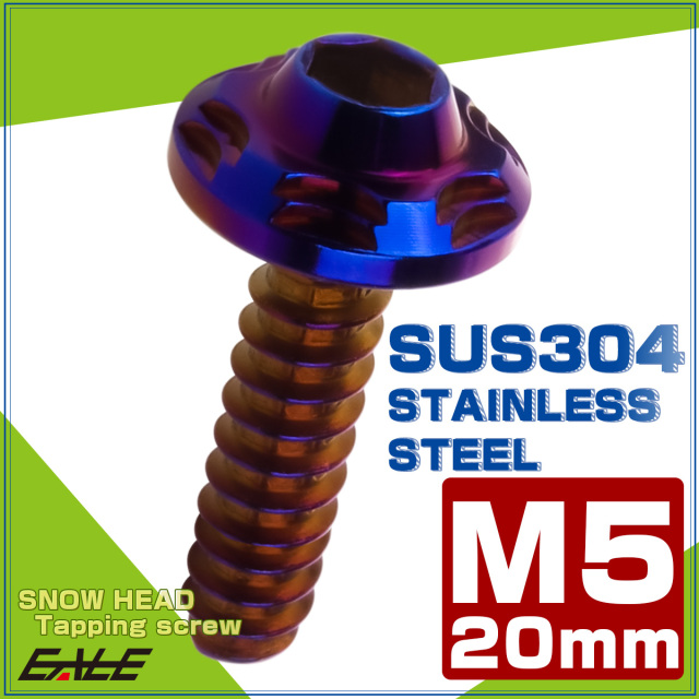 タッピングネジ M5×20mm SUS304 ステンレス スノーヘッド 六角穴 フランジ付き ネジ 焼きチタンカラー TC0194 【メール便可】