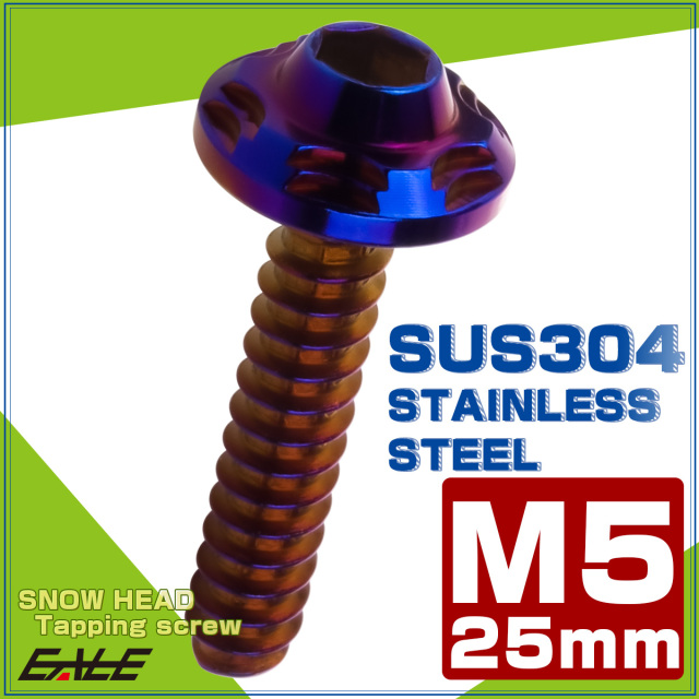 タッピングネジ M5×25mm SUS304 ステンレス スノーヘッド 六角穴 フランジ付き ネジ 焼きチタンカラー TC0195 【メール便可】