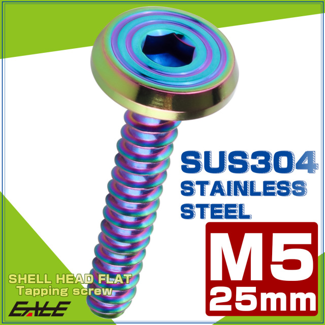 タッピングネジ M5×25mm SUS304 ステンレス シェルヘッドフラット 六角穴 フランジ付き ネジ レインボーグリーン TC0205 【メール便可】