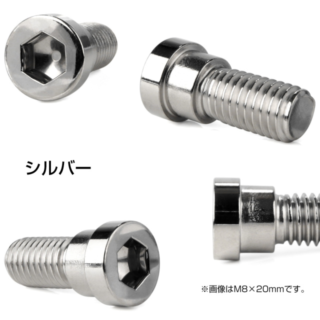 ブレーキ ディスクローター ボルト ホンダ用 M8×20mm P1.25 ステンレス