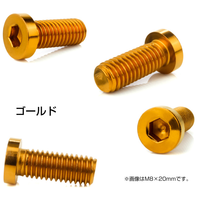ブレーキ ディスクローター ボルト ヤマハ用 M8×25mm P1.25