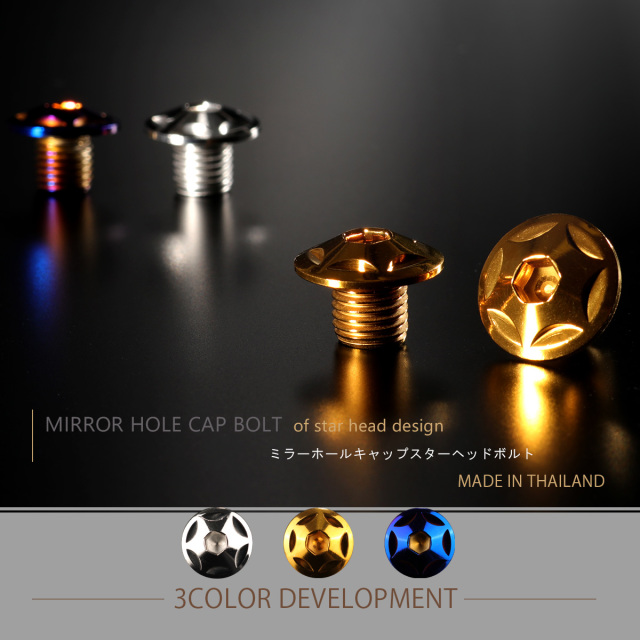 ミラーホールカバー キャップ スターヘッド 2個セット M10×10mm 正ネジ P1.25 SUS304 ステンレス製 ゴールド TH0102 【メール便可】